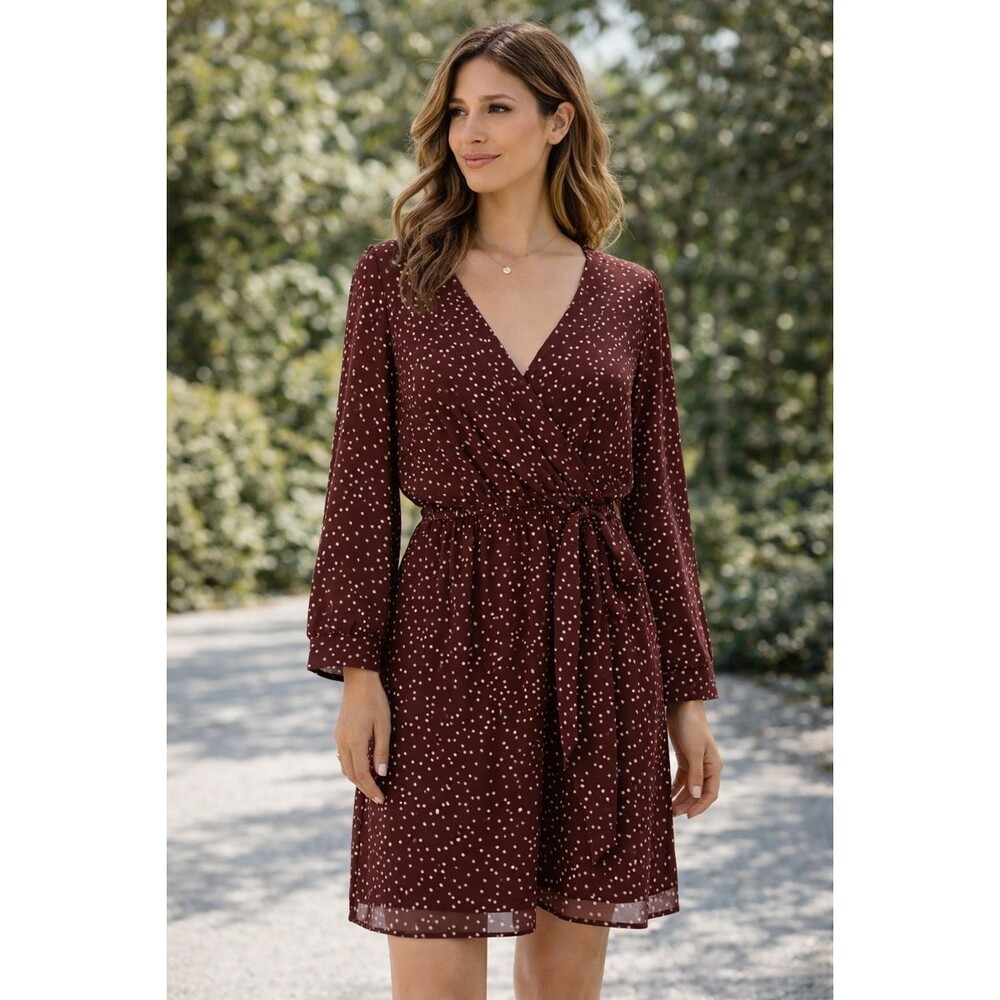Madewell Silk Polka Dot Dress Womens 6 Burgundy Faux Wrap Long Sleeve